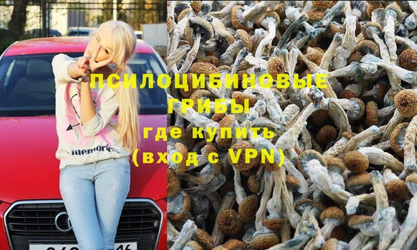 прущие крисы Красноперекопск