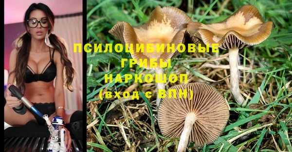 не бодяженный Краснослободск