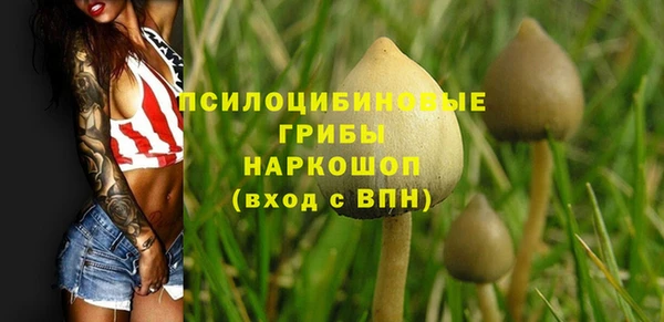 прущие крисы Красноперекопск