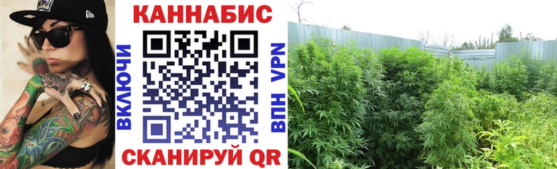 Купить  Пролетарск  МАРИХУАНА тримм 
